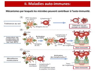 Mécanismes par lesquels les microbes peuvent contribuer à l'auto-immunité.
II. Maladies auto-immunes:
 