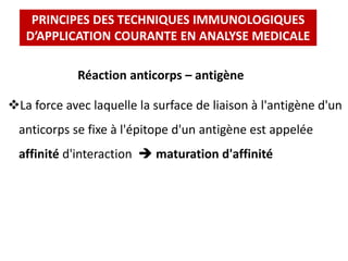 PRINCIPES DES TECHNIQUES IMMUNOLOGIQUES
D’APPLICATION COURANTE EN ANALYSE MEDICALE
Réaction anticorps – antigène
La force avec laquelle la surface de liaison à l'antigène d'un
anticorps se fixe à l'épitope d'un antigène est appelée
affinité d'interaction  maturation d'affinité
 