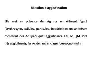 Réaction d’agglutination
Elle met en présence des Ag sur un élément figuré
(érythrocytes, cellules, particules, bactéries) et un antisérum
contenant des Ac spécifiques agglutinants. Les Ac IgM sont
très agglutinants, les Ac des autres classes beaucoup moins
 