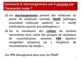 Comment le microorganisme est-il reconnu par
l’immunité innée ?
 Les microorganismes portent des molécules ou
partie de molécules nommés PAMP (pathogen
associated molecular pattern) ou « motifs
moléculaires associés aux pathogènes ».
 Sur la membrane des cellules du système
immunitaire inné, existe des groupes de récepteurs
de reconnaissance nommés PRR (pattern
recognition receptors) ou « récepteurs de
reconnaissance de motifs »
Ces PRR interagissent alors avec les PAMP.
14
 