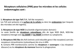 Récepteurs cellulaires (PRR) pour les microbes et les cellules
endommagées sont :
1. Récepteurs de type Toll (TLR, Toll-like receptor) :
Les TLR sont présents à la surface de la cellule ou dans les endosomes (par lesquels
des microbes ont été ingérés).
2. Récepteurs de type NOD (nucleotide oligomerization domain) :
La vaste famille de récepteurs cytosoliques dits de type NOD (NLR, NOD-like
receptors) interagit avec les DAMP et les PAMP accédant au cytoplasme.
3. Récepteurs RIG-like dits RLR (retinoic acid-inducible gene-I-like receptors) sont des
recepteurs intracellulaires (cytosoliques) de virus à ARN.
4. Certains PRR membranaires comme les récepteurs « scavengers » (ou récepteur
éboueur) ou les récepteurs du mannose favorise la phagocytose.
 