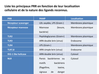 PRR PAMP Localisation
Récepteur scavenger LDL oxydée, LPS (Gram-) Membrane plasmique
Récepteur mannose Mannose (levure,
bactérie)
Membrane plasmique
TLR2 Peptidoglycanes (Gram+) Membrane plasmique
TLR3 ARN double brin (virus) Endosome
TLR4 LPS (Gram-) Membrane plasmique
TLR7,8 ARN simple brin (virus) Endosome
RIG-1 like helicase ARN double brin (virus) Cytosol
NLR Parois bactérienne ou
motifs bactériens
(flagelline, toxine,
signaux de danger
Cytosol
Liste les principaux PRR en fonction de leur localisation
cellulaire et de la nature des ligands reconnus.
 