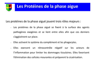 Les Protéines de la phase aigue
Les protéines de la phase aiguë jouent trois rôles majeurs :
 Les protéines de la phase aiguë se fixent à la surface des agents
pathogènes exogènes et se lient entre elles afin que ces derniers
s’agglutinent sur place.
 Elles activent le système du complément et les phagocytes.
 Elles exercent un rétrocontrôle négatif sur les acteurs de
l’inflammation pour limiter les dommages tissulaires. Elles favorisent
l’élimination des cellules mourantes et préparent la cicatrisation.
 
