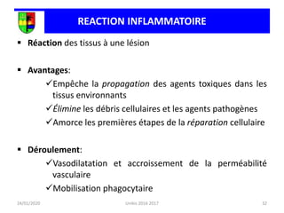 32
 Réaction des tissus à une lésion
 Avantages:
Empêche la propagation des agents toxiques dans les
tissus environnants
Élimine les débris cellulaires et les agents pathogènes
Amorce les premières étapes de la réparation cellulaire
 Déroulement:
Vasodilatation et accroissement de la perméabilité
vasculaire
Mobilisation phagocytaire
24/01/2020
REACTION INFLAMMATOIRE
Unikis 2016 2017
 