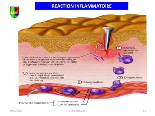 33
24/01/2020
REACTION INFLAMMATOIRE
Mobilisation
phagocytaire:
Neutrophiles
Monocytes (12 h)
Unikis 2016 2017
 