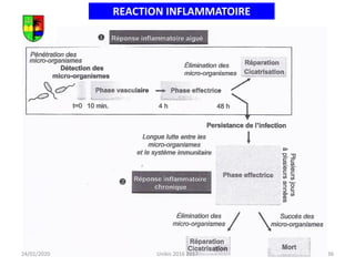 REACTION INFLAMMATOIRE
24/01/2020 36
Unikis 2016 2017
 