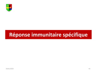 Réponse immunitaire spécifique
24/01/2020 43
 