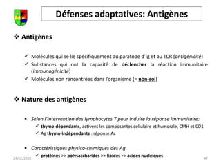Défenses adaptatives: Antigènes
 Antigènes
 Molécules qui se lie spécifiquement au paratope d’Ig et au TCR (antigénicité)
 Substances qui ont la capacité de déclencher la réaction immunitaire
(immunogénicité)
 Molécules non rencontrées dans l’organisme (= non-soi)
 Nature des antigènes
 Selon l’intervention des lymphocytes T pour induire la réponse immunitaire:
 thymo-dépendants, activent les composantes cellulaire et humorale, CMH et CD1
 Ag thymo-indépendants : réponse Ac
 Caractéristiques physico-chimiques des Ag
 protéines >> polysaccharides >> lipides >> acides nucléiques 47
24/01/2020
 