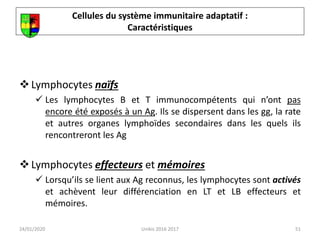 51
Lymphocytes naïfs
 Les lymphocytes B et T immunocompétents qui n’ont pas
encore été exposés à un Ag. Ils se dispersent dans les gg, la rate
et autres organes lymphoïdes secondaires dans les quels ils
rencontreront les Ag
Lymphocytes effecteurs et mémoires
 Lorsqu’ils se lient aux Ag reconnus, les lymphocytes sont activés
et achèvent leur différenciation en LT et LB effecteurs et
mémoires.
24/01/2020 Unikis 2016 2017
Cellules du système immunitaire adaptatif :
Caractéristiques
 