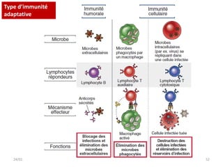 24/01/2020 Unikis 2016 2017 52
Type d’immunité
adaptative
 