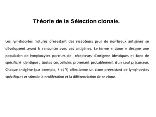 Les lymphocytes matures présentant des récepteurs pour de nombreux antigènes se
développent avant la rencontre avec ces antigènes. Le terme « clone » désigne une
population de lymphocytes porteurs de récepteurs d'antigène identiques et donc de
spécificité identique ; toutes ces cellules provenant probablement d'un seul précurseur.
Chaque antigène (par exemple, X et Y) sélectionne un clone préexistant de lymphocytes
spécifiques et stimule la prolifération et la différenciation de ce clone.
Théorie de la Sélection clonale.
 