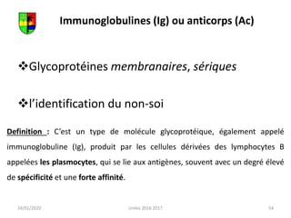 Immunoglobulines (Ig) ou anticorps (Ac)
Glycoprotéines membranaires, sériques
l’identification du non-soi
24/01/2020 54
Unikis 2016 2017
Definition : C’est un type de molécule glycoprotéique, également appelé
immunoglobuline (Ig), produit par les cellules dérivées des lymphocytes B
appelées les plasmocytes, qui se lie aux antigènes, souvent avec un degré élevé
de spécificité et une forte affinité.
 