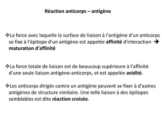 La force avec laquelle la surface de liaison à l'antigène d'un anticorps
se fixe à l'épitope d'un antigène est appelée affinité d'interaction 
maturation d'affinité
La force totale de liaison est de beaucoup supérieure à l'affinité
d'une seule liaison antigène-anticorps, et est appelée avidité.
Les anticorps dirigés contre un antigène peuvent se fixer à d'autres
antigènes de structure similaire. Une telle liaison à des épitopes
semblables est dite réaction croisée.
Réaction anticorps – antigène
 
