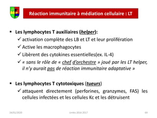  Les lymphocytes T auxiliaires (helper):
 activation complète des LB et LT et leur prolifération
 Active les macrophagocytes
 Libèrent des cytokines essentielles(ex. IL-4)
 « sans le rôle de « chef d’orchestre » joué par les LT helper,
il n’y aurait pas de réaction immunitaire adaptative »
 Les lymphocytes T cytotoxiques (tueurs)
 attaquent directement (perforines, granzymes, FAS) les
cellules infectées et les cellules Kc et les détruisent
69
24/01/2020 Unikis 2016 2017
Réaction immunitaire à médiation cellulaire : LT
 