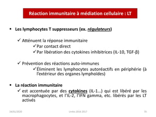  Les lymphocytes T suppresseurs (ex. régulateurs)
 Atténuent la réponse immunitaire
Par contact direct
Par libération des cytokines inhibitrices (IL-10, TGF-β)
 Prévention des réactions auto-immunes
Éliminent les lymphocytes autoréactifs en périphérie (à
l’extérieur des organes lymphoïdes)
 La réaction immunitaire
 est accentuée par des cytokines (IL-1…) qui est libéré par les
macrophagocytes, et l’IL-2, l’IFN gamma, etc. libérés par les LT
activés
70
24/01/2020 Unikis 2016 2017
Réaction immunitaire à médiation cellulaire : LT
 