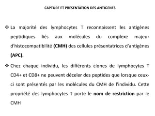  La majorité des lymphocytes T reconnaissent les antigènes
peptidiques liés aux molécules du complexe majeur
d'histocompatibilité (CMH) des cellules présentatrices d'antigènes
(APC).
 Chez chaque individu, les différents clones de lymphocytes T
CD4+ et CD8+ ne peuvent déceler des peptides que lorsque ceux-
ci sont présentés par les molécules du CMH de l'individu. Cette
propriété des lymphocytes T porte le nom de restriction par le
CMH
CAPTURE ET PRESENTATION DES ANTIGENES
 