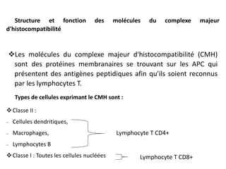 Types de cellules exprimant le CMH sont :
Classe II :
 Cellules dendritiques,
 Macrophages,
 Lymphocytes B
Classe I : Toutes les cellules nucléées
Structure et fonction des molécules du complexe majeur
d'histocompatibilité
Les molécules du complexe majeur d'histocompatibilité (CMH)
sont des protéines membranaires se trouvant sur les APC qui
présentent des antigènes peptidiques afin qu'ils soient reconnus
par les lymphocytes T.
Lymphocyte T CD4+
Lymphocyte T CD8+
 