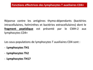 Fonctions effectrices des lymphocytes T auxiliaires CD4+
Réponse contre les antigènes thymo-dépendants (bactéries
intracellulaires, helminthes et bactéries extracellulaires) dont le
fragment peptidique est présenté par le CMH-2 aux
lymphocytes CD4+
Les sous-populations de lymphocytes T auxiliaires CD4 sont :
- Lymphocytes TH1
- Lymphocytes Th2
- Lymphocytes TH17
 
