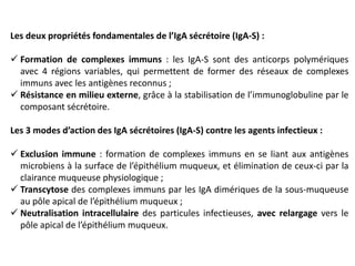 Les deux propriétés fondamentales de l’IgA sécrétoire (IgA-S) :
 Formation de complexes immuns : les IgA-S sont des anticorps polymériques
avec 4 régions variables, qui permettent de former des réseaux de complexes
immuns avec les antigènes reconnus ;
 Résistance en milieu externe, grâce à la stabilisation de l’immunoglobuline par le
composant sécrétoire.
Les 3 modes d’action des IgA sécrétoires (IgA-S) contre les agents infectieux :
 Exclusion immune : formation de complexes immuns en se liant aux antigènes
microbiens à la surface de l’épithélium muqueux, et élimination de ceux-ci par la
clairance muqueuse physiologique ;
 Transcytose des complexes immuns par les IgA dimériques de la sous-muqueuse
au pôle apical de l’épithélium muqueux ;
 Neutralisation intracellulaire des particules infectieuses, avec relargage vers le
pôle apical de l’épithélium muqueux.
 
