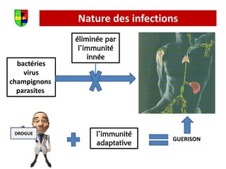 Nature des infections
bactéries
virus
champignons
parasites
éliminée par
l’immunité
innée
l’immunité
adaptative
DROGUE
GUERISON
 