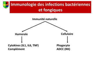 Immunologie des infections bactériennes
et fongiques
Immunité naturelle
Humorale Cellulaire
Cytokines (IL1, IL6, TNF)
Complément
Phagocyte
ADCC (NK)
 