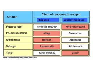 Figure 1-32 Response Deficient response 