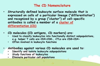 The CD Nomenclature
•

Structurally defined leukocyte surface molecule that is
expressed on cells of a particular lineage (“differentiation”)
and recognized by a group (“cluster”) of cell-specific
antibodies is called a member of a cluster of
differentiation (CD)

•

CD molecules (CD antigens, CD markers) are:
•
•

•

Used to classify leukocytes into functionally distinct subpopulations,
e.g. helper T cells are CD4+CD8-, CTLs are CD8+CD4Often involved in leukocyte functions

Antibodies against various CD molecules are used to:
•
•
•

Identify and isolate leukocyte subpopulations
Study functions of leukocytes
Eliminate particular cell populations

 