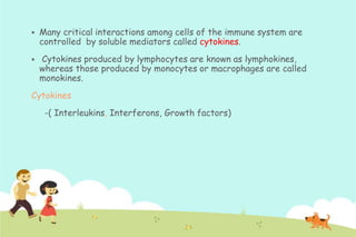 

Many critical interactions among cells of the immune system are
controlled by soluble mediators called cytokines.



Cytokines produced by lymphocytes are known as lymphokines,
whereas those produced by monocytes or macrophages are called
monokines.

Cytokines
-( Interleukins, Interferons, Growth factors)

 