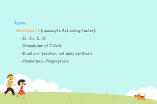 Types:
Interleukin I (Leucocyte Activating Factor):

-IL -I , IL-I
-Stimulation of T Cells
-B cell proliferation, antibody synthesis

-Chemotaxis, Phagocytosis

 