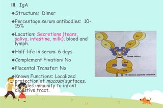 III. IgA
Structure:

Dimer

Percentage

serum antibodies: 10-

15%

Location:

Secretions (tears,
saliva, intestine, milk), blood and
lymph.

Half-life

in serum: 6 days

Complement
Placental
Known

Fixation: No

Transfer: No

Functions: Localized
protection of mucosal surfaces.
Provides immunity to infant
digestive tract.

 