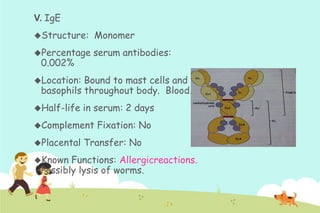 V. IgE
Structure:

Monomer

Percentage

serum antibodies:

0.002%

Location:

Bound to mast cells and
basophils throughout body. Blood.

Half-life

in serum: 2 days

Complement
Placental
Known

Fixation: No

Transfer: No

Functions: Allergicreactions.
Possibly lysis of worms.

 