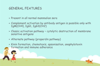 GENERAL FEATURES


Present in all normal mammalian sera



Complement activation by antibody antigen is possible only with
IgM(CH4), IgG1, IgG3(CH2)



Classic activation pathway – cytolytic destruction of membrane
sensitive antigens



Alternate pathway (properdin pathway)



Kinin formation, chemotaxis, opsonisation, anaphylotoxin
formation and immune adherance

 