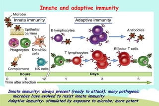 Innate and adaptive immunity

Innate immunity: always present (ready to attack); many pathogenic
microbes have evolved to resist innate immunity
Adaptive immunity: stimulated by exposure to microbe; more potent

 