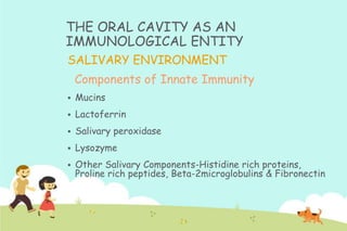 THE ORAL CAVITY AS AN
IMMUNOLOGICAL ENTITY
SALIVARY ENVIRONMENT
Components of Innate Immunity


Mucins



Lactoferrin



Salivary peroxidase



Lysozyme



Other Salivary Components-Histidine rich proteins,
Proline rich peptides, Beta-2microglobulins & Fibronectin

 