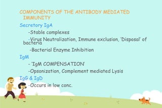 COMPONENTS OF THE ANTIBODY MEDIATED
IMMUNITY
Secretory IgA
-Stable complexes
-Virus Neutralization, Immune exclusion, „Disposal‟ of
bacteria
-Bacterial Enzyme Inhibition
IgM
- „IgM COMPENSATION‟
-Opsonization, Complement mediated Lysis
IgG & IgD
-Occurs in low conc.

 