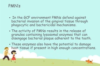 PMN‟s


In the GCF environment PMNs defend against
bacterial invasion of the gingival tissue through
phagocytic and bactericidal mechanisms.



The activity of PMNs results in the release of
granules containing lysosomal enzymes that can
disengage bacterial plaque adherent to the tooth.



These enzymes also have the potential to damage
host tissue if present in high enough concentrations.

 