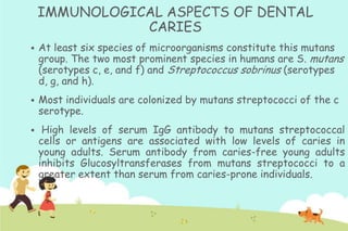 IMMUNOLOGICAL ASPECTS OF DENTAL
CARIES


At least six species of microorganisms constitute this mutans
group. The two most prominent species in humans are S. mutans
(serotypes c, e, and f) and Streptococcus sobrinus (serotypes
d, g, and h).



Most individuals are colonized by mutans streptococci of the c
serotype.



High levels of serum IgG antibody to mutans streptococcal
cells or antigens are associated with low levels of caries in
young adults. Serum antibody from caries-free young adults
inhibits Glucosyltransferases from mutans streptococci to a
greater extent than serum from caries-prone individuals.

 
