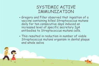 SYSTEMIC ACTIVE
IMMUNIZATION


Gregory and Filler observed that ingestion of a
vaccine containing killed Streptococcus mutans
daily for ten consecutive days induced an
increased level of specific secretary IgA
antibodies to Streptococcus mutans cells.



This resulted in reduction in number of viable
Streptococcus mutans organism in dental plaque
and whole saliva

 