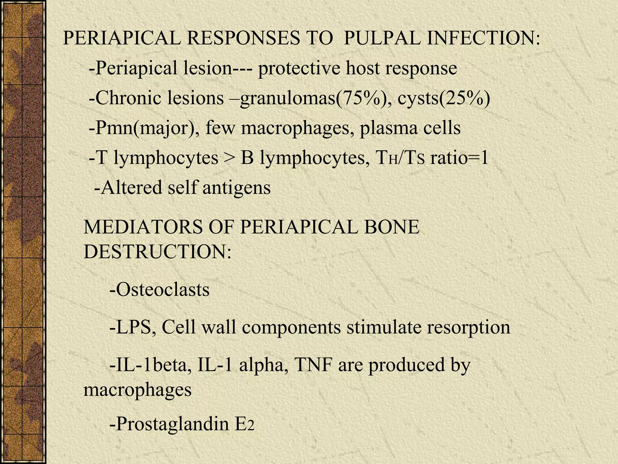 PERIAPICAL RESPONSES TO PULPAL INFECTION:
-Periapical lesion--- protective host response
-Chronic lesions –granulomas(75%), cysts(25%)
-Pmn(major), few macrophages, plasma cells
-T lymphocytes > B lymphocytes, TH/TS ratio=1
-Altered self antigens
MEDIATORS OF PERIAPICAL BONE
DESTRUCTION:
-Osteoclasts
-LPS, Cell wall components stimulate resorption
-IL-1beta, IL-1 alpha, TNF are produced by
macrophages
-Prostaglandin E2
 