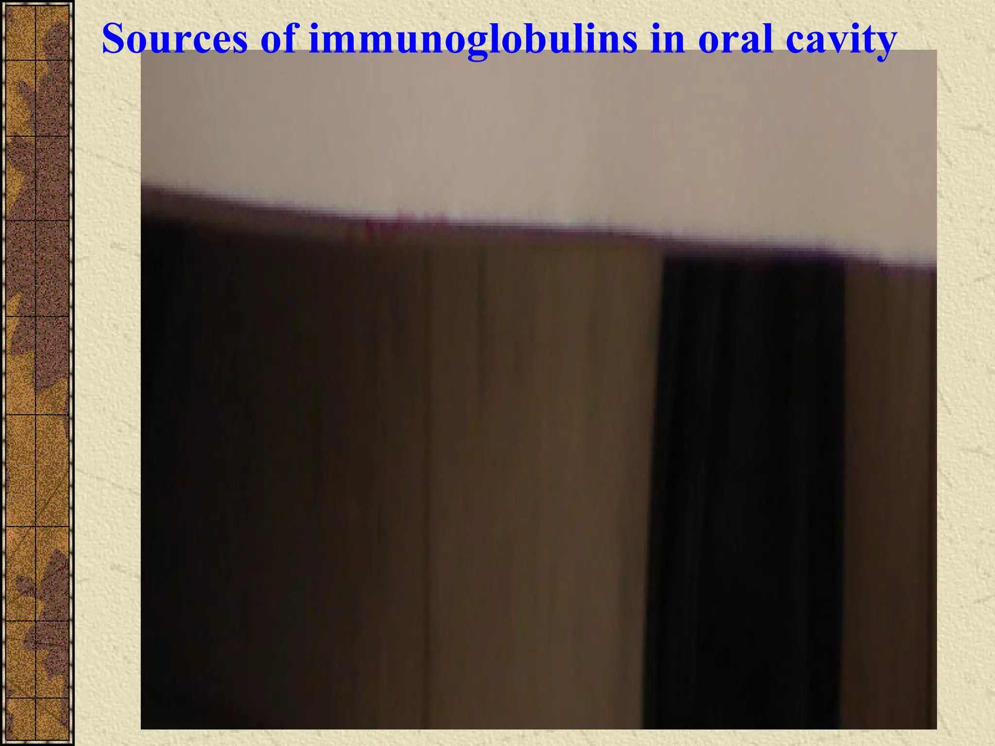 Sources of immunoglobulins in oral cavity
 