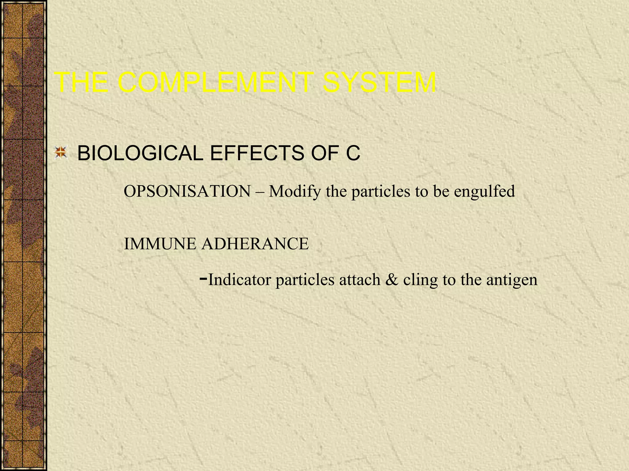 THE COMPLEMENT SYSTEM
BIOLOGICAL EFFECTS OF C
OPSONISATION – Modify the particles to be engulfed
IMMUNE ADHERANCE
-Indicator particles attach & cling to the antigen
 