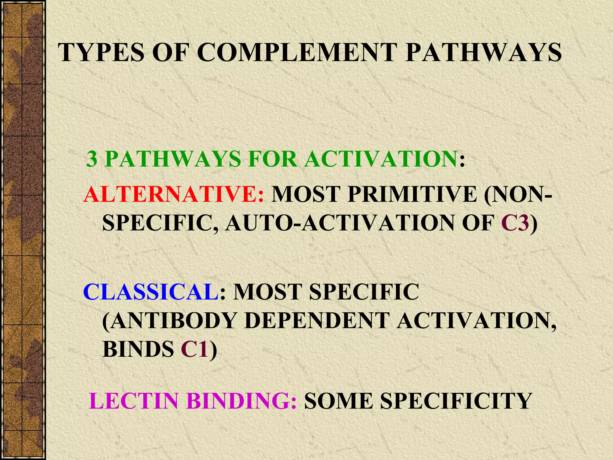 TYPES OF COMPLEMENT PATHWAYS
3 PATHWAYS FOR ACTIVATION:
ALTERNATIVE: MOST PRIMITIVE (NON-
SPECIFIC, AUTO-ACTIVATION OF C3)
CLASSICAL: MOST SPECIFIC
(ANTIBODY DEPENDENT ACTIVATION,
BINDS C1)
LECTIN BINDING: SOME SPECIFICITY
 