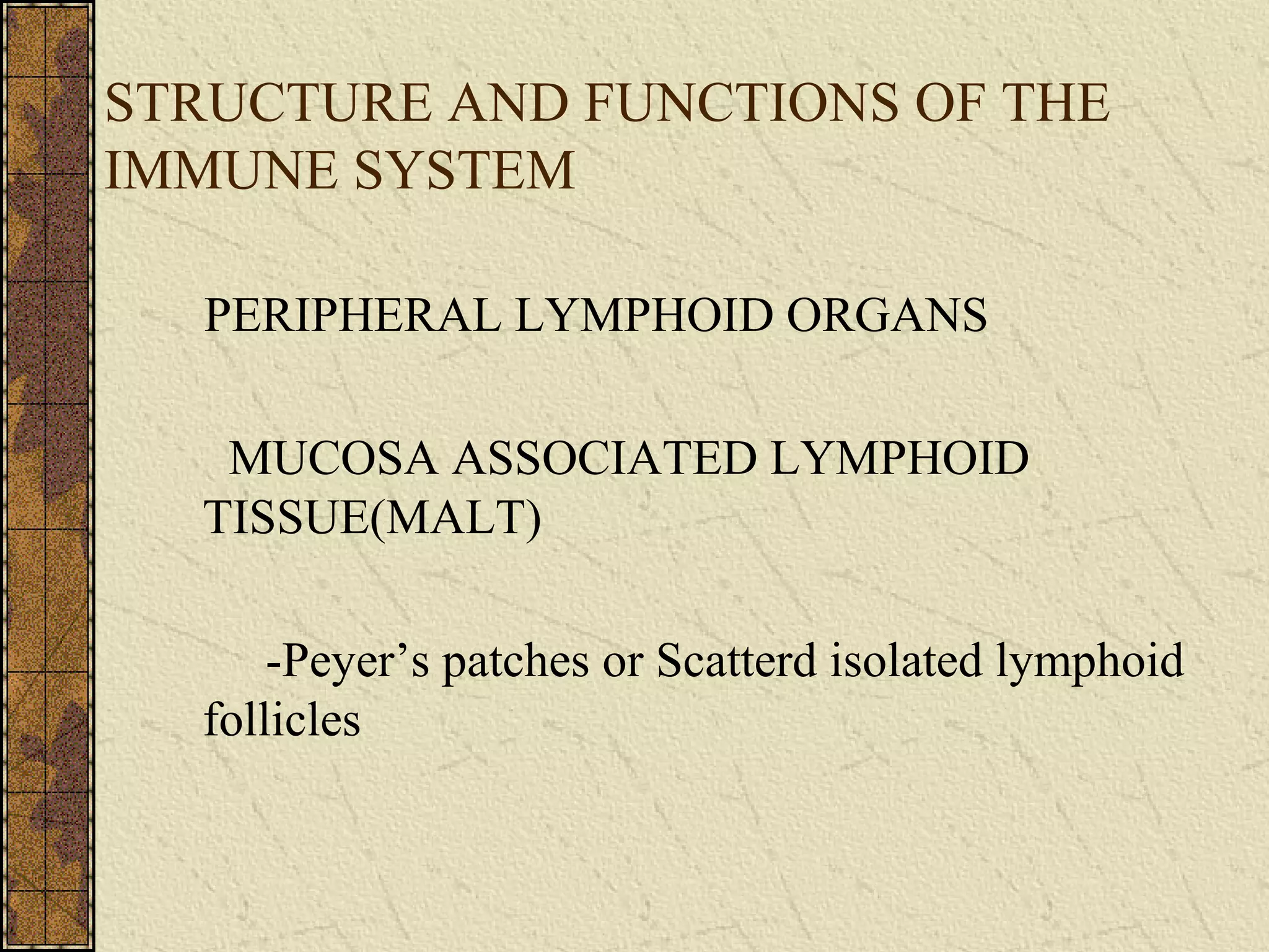 STRUCTURE AND FUNCTIONS OF THE
IMMUNE SYSTEM
PERIPHERAL LYMPHOID ORGANS
MUCOSA ASSOCIATED LYMPHOID
TISSUE(MALT)
-Peyer’s patches or Scatterd isolated lymphoid
follicles
 