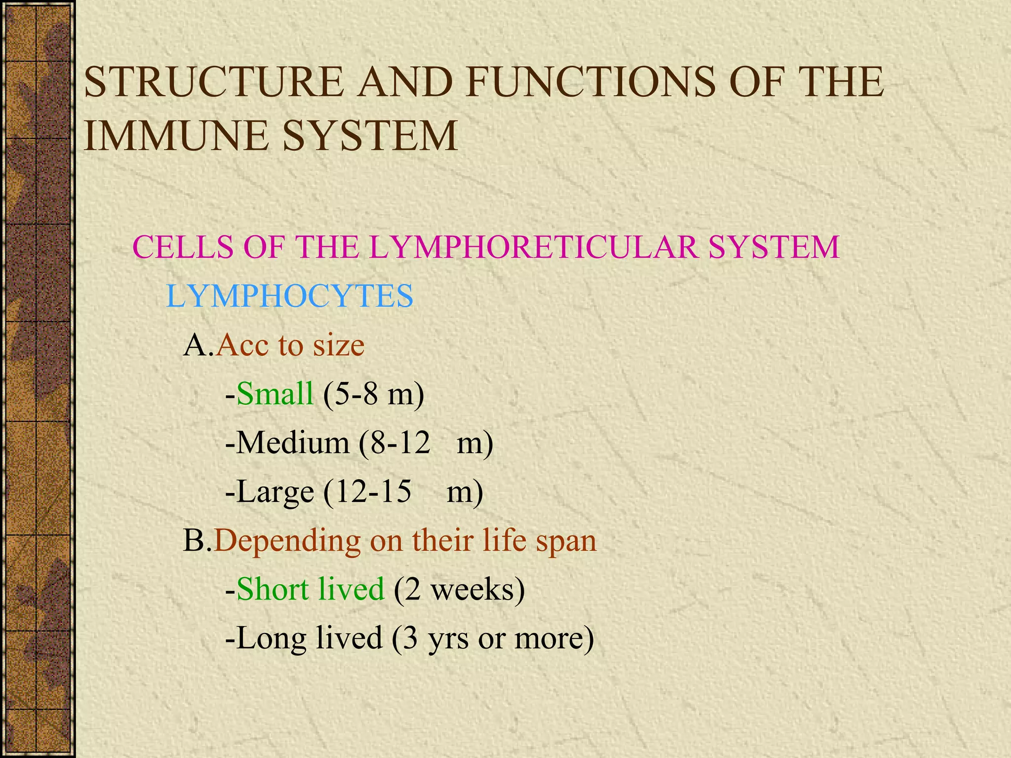 STRUCTURE AND FUNCTIONS OF THE
IMMUNE SYSTEM
CELLS OF THE LYMPHORETICULAR SYSTEM
LYMPHOCYTES
A.Acc to size
-Small (5-8 m)
-Medium (8-12 m)
-Large (12-15 m)
B.Depending on their life span
-Short lived (2 weeks)
-Long lived (3 yrs or more)
 