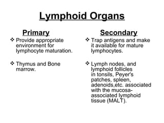 Lymphoid Organs
Primary
 Provide appropriate
environment for
lymphocyte maturation.
 Thymus and Bone
marrow.
Secondary
 Trap antigens and make
it available for mature
lymphocytes.
 Lymph nodes, and
lymphoid follicles
in tonsils, Peyer's
patches, spleen,
adenoids,etc. associated
with the mucosa-
associated lymphoid
tissue (MALT).
 