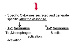 • Specific Cytokines secreted and generate
specific immune response
• TH1 Response TH2 Response
Tc ,Macrophages B cells
activation
activation
 