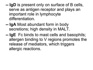 -- IgD is present only on surface of B cells,
serve as antigen receptor and plays an
important role in lymphocyte
differentiation.
-- IgA Most abundant form in body
secretions; high density in MALT.
-- IgE Fc binds to mast cells and basophils;
allergen binding to V regions promotes the
release of mediators, which triggers
allergic reactions.
 