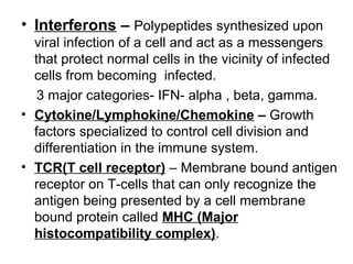 • Interferons – Polypeptides synthesized upon 
viral infection of a cell and act as a messengers 
that protect normal cells in the vicinity of infected 
cells from becoming  infected.
    3 major categories- IFN- alpha , beta, gamma.
• Cytokine/Lymphokine/Chemokine – Growth 
factors specialized to control cell division and 
differentiation in the immune system.
• TCR(T cell receptor) – Membrane bound antigen 
receptor on T-cells that can only recognize the 
antigen being presented by a cell membrane 
bound protein called MHC (Major
histocompatibility complex).
 