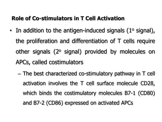 Role of Co-stimulators in T Cell Activation
• In addition to the antigen-induced signals (1o signal),
the proliferation and differentiation of T cells require
other signals (2o signal) provided by molecules on
APCs, called costimulators
– The best characterized co-stimulatory pathway in T cell
activation involves the T cell surface molecule CD28,
which binds the costimulatory molecules B7-1 (CD80)
and B7-2 (CD86) expressed on activated APCs
 