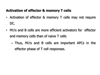 Activation of effector & memory T cells
• Activation of effector & memory T cells may not require
DC.
• Ms and B cells are more efficient activators for effector
and memory cells than of naive T cells
– Thus, Ms and B cells are important APCs in the
effector phase of T cell responses.
 